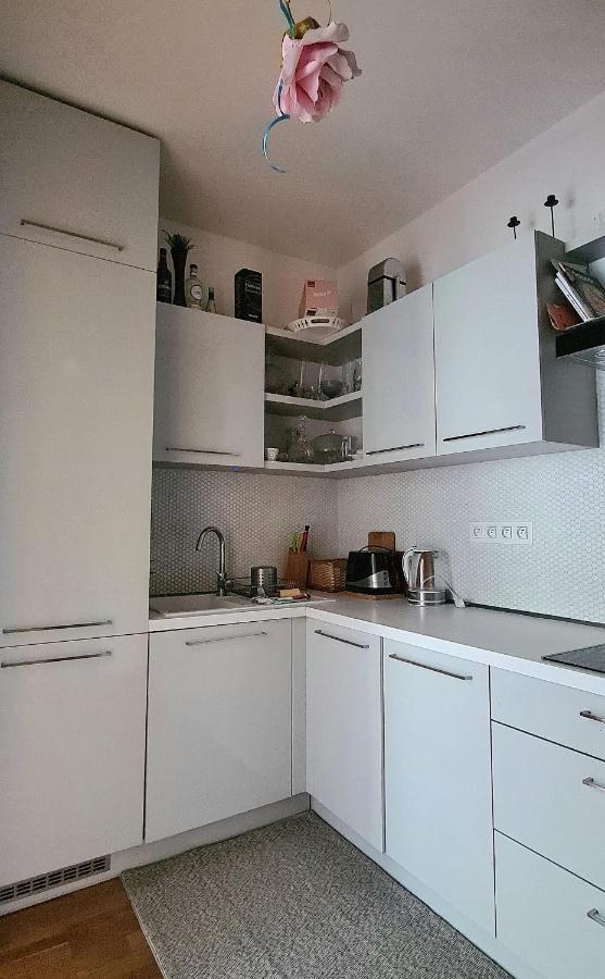 Casa Del Svana ברטיסלאבה מראה חיצוני תמונה